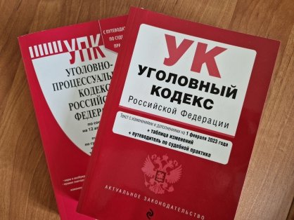 Несовершеннолетний житель Ненецкого автономного округа предстанет перед судом по обвинению в краже денежных средств с банковского счета